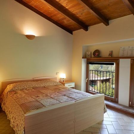 Agriturismo Ca' Del Ciuco Vezzano sul Crostolo Dış mekan fotoğraf